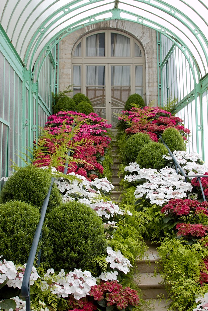 Serres royales de Laeken Koninklijke laken Koninklijk belgie serre kasteel hdr art nouveau tuin bloemen bloem architect Alphonse Balat Koning Leopold II plantencollectie